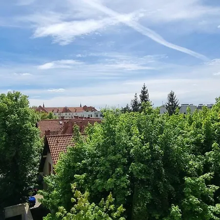 Apartament Lesna 10